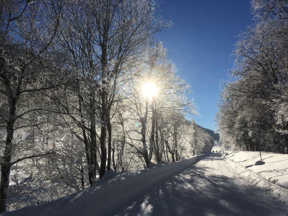6 Dorfstrasse Leilighet Oberwald Eksteriør bilde